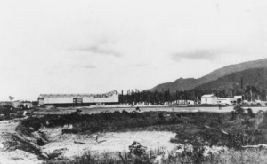 Early Construction of Tully Sugar Mill (Image: State Library of Queensland) | Tully Sugar