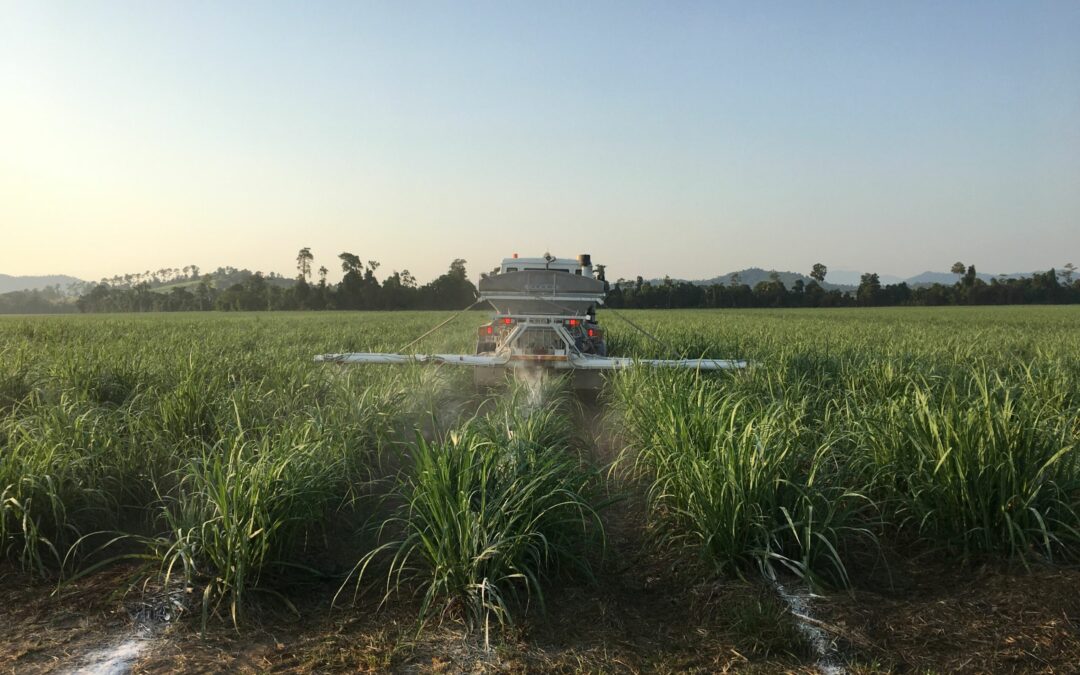 Establishing the  Q250 site in El Arish 2019