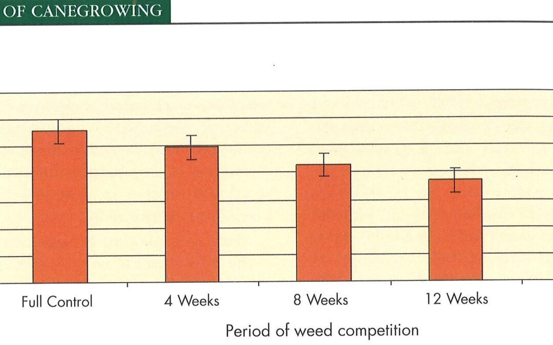 Weed Control